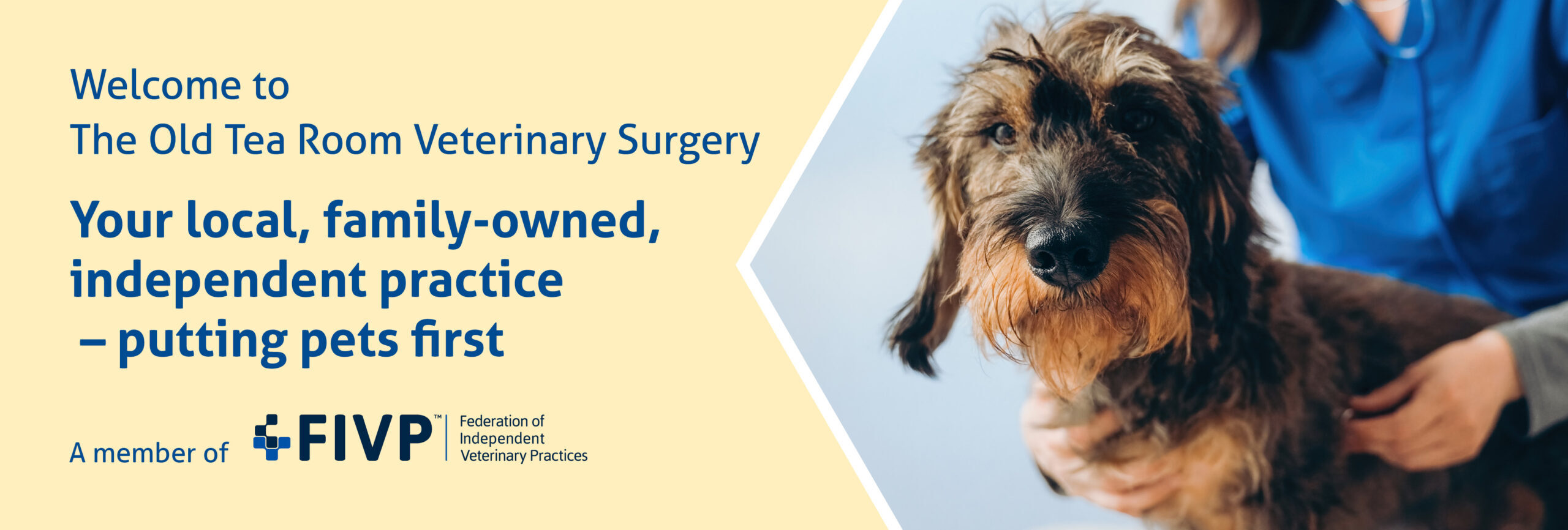 Welcome to Old Tea Room Veterinary Surgery.